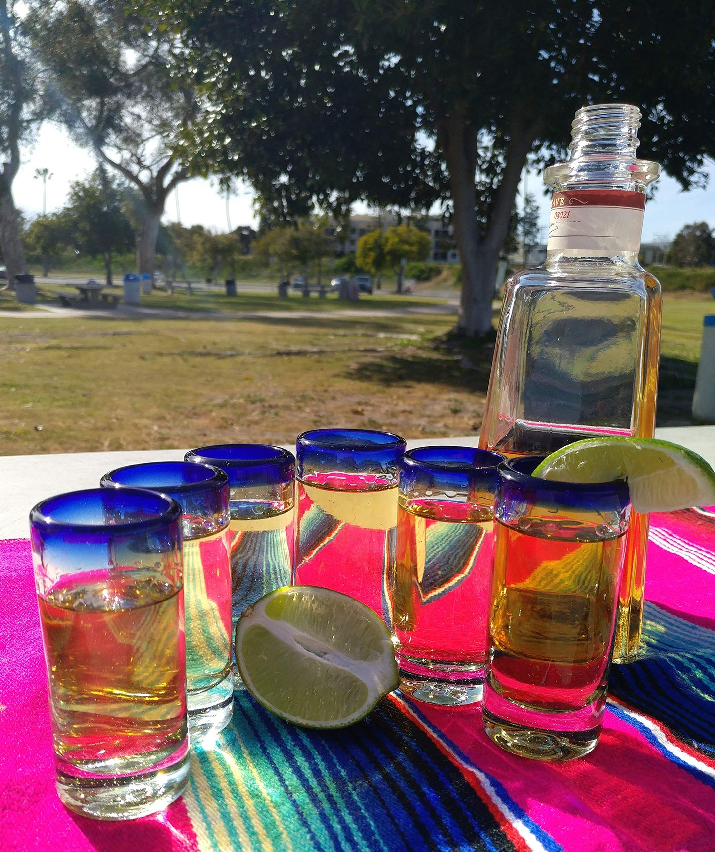 Hand Blown Mexican Tequila Shot Glasses â Set of 6