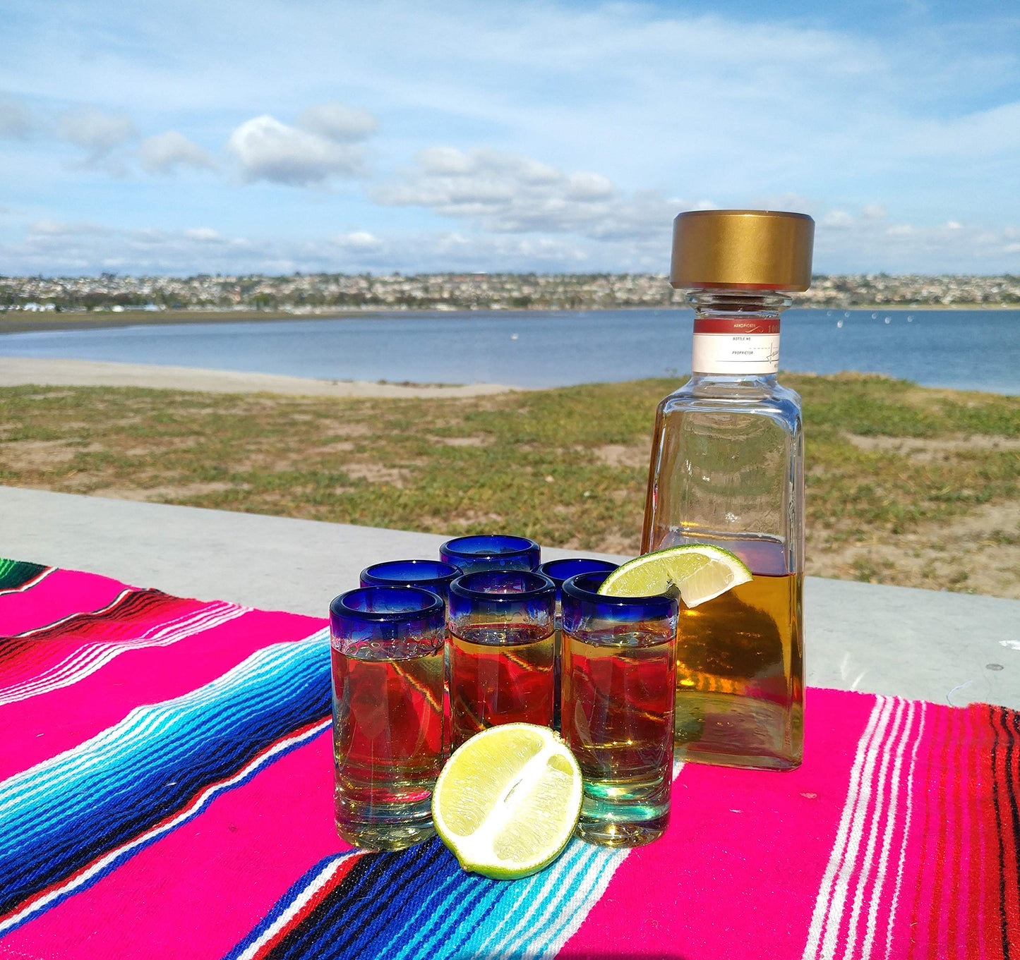 Hand Blown Mexican Tequila Shot Glasses â Set of 6