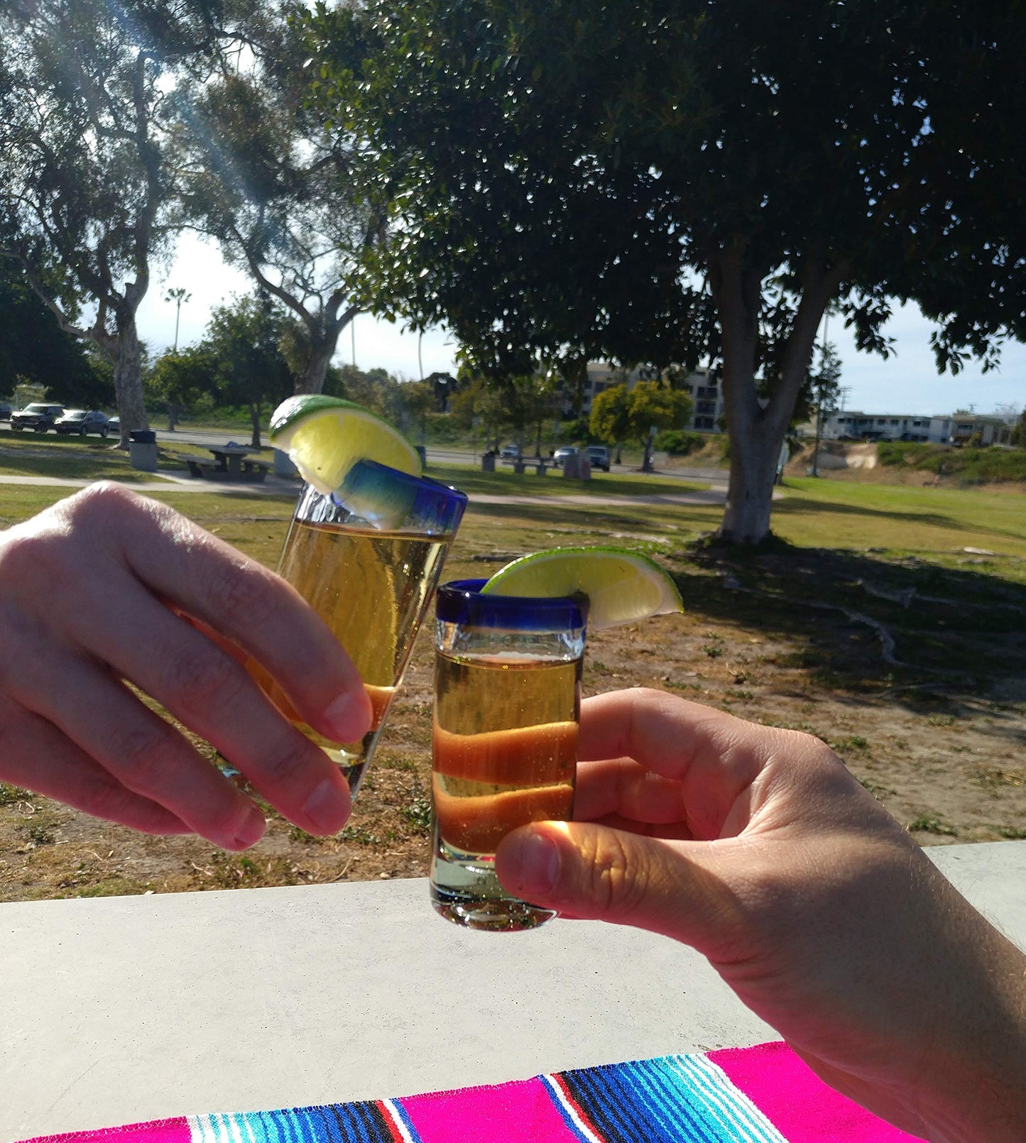 Hand Blown Mexican Tequila Shot Glasses â Set of 6