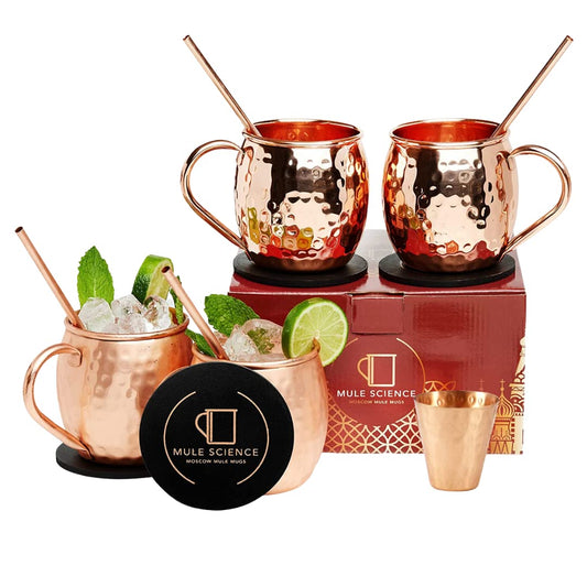Mixology  Moscow Mule Mugs - Set of 4