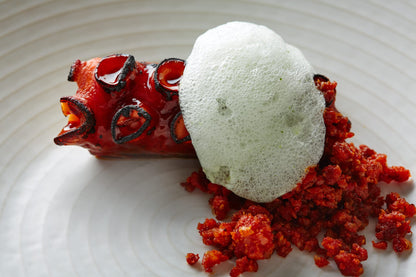 Lecithine de Soja Poudre 100g