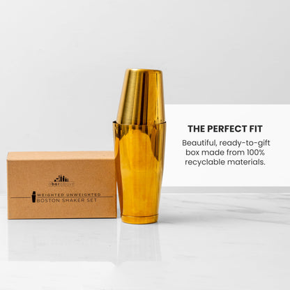 Professional Boston Shaker Set